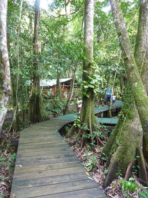 Hotel Casa Perico Rio Dulce Town Esterno foto